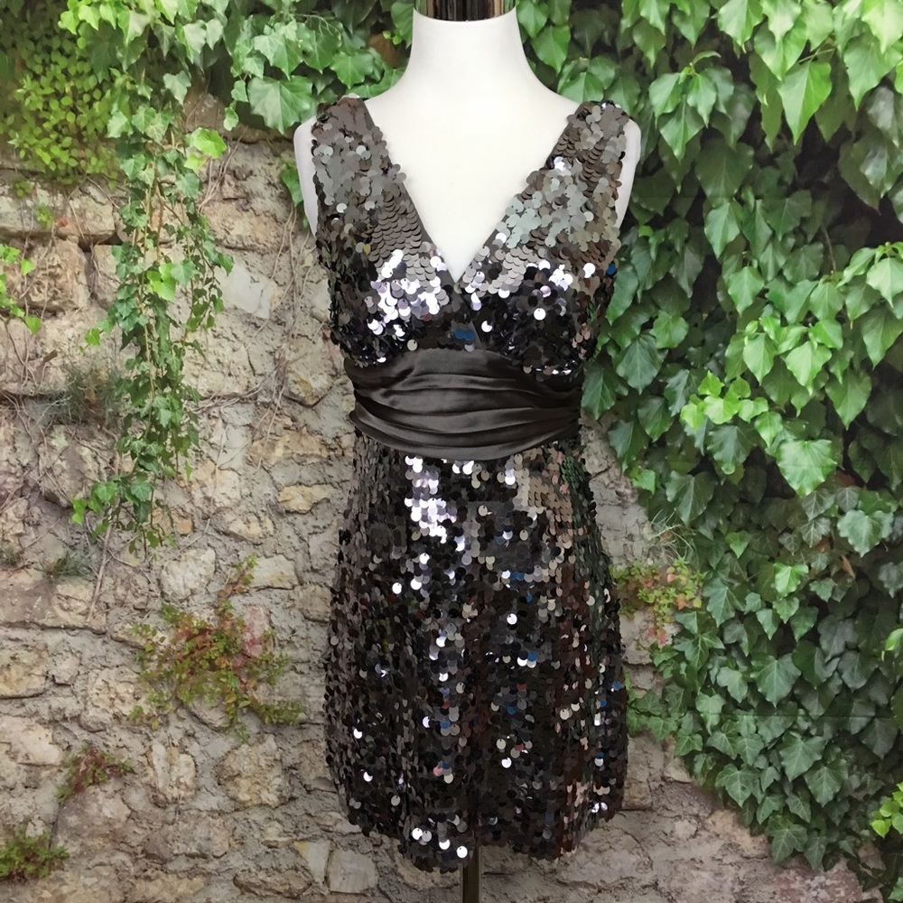 Silver Sequins Dress